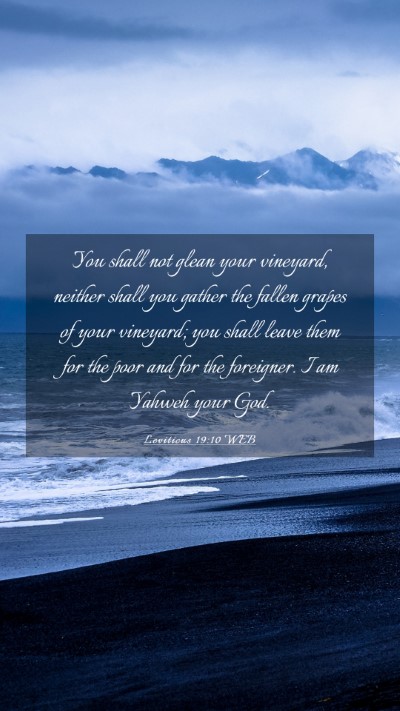 Picture 03 - Leviticus 19:10 WEB Mobile Phone Wallpaper - You shall not glean your vineyard, neither shall - Mobile Bible Verse Wallpaper