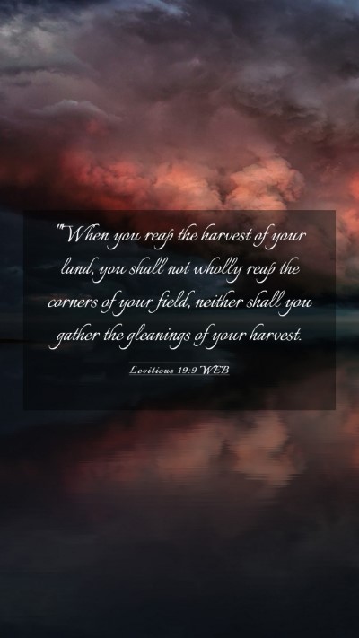 Picture 03 - Leviticus 19:9 WEB Mobile Phone Wallpaper - 