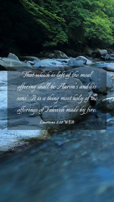 Picture 03 - Leviticus 2:10 WEB Mobile Phone Wallpaper - That which is left of the meal offering shall be - Mobile Bible Verse Wallpaper