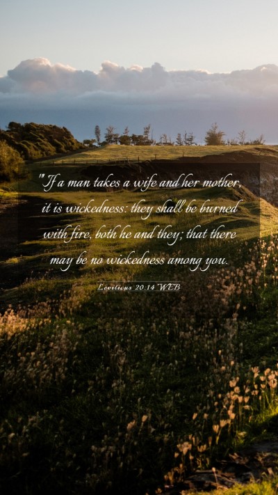 Picture 03 - Leviticus 20:14 WEB Mobile Phone Wallpaper - 