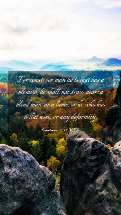 Picture 03 - Leviticus 21:18 WEB Mobile Phone Wallpaper - For whatever man he is that has a blemish, he - Mobile Bible Verse Wallpaper