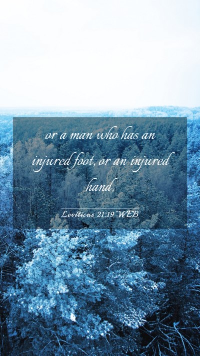 Picture 03 - Leviticus 21:19 WEB Mobile Phone Wallpaper - or a man who has an injured foot, or an injured - Mobile Bible Verse Wallpaper