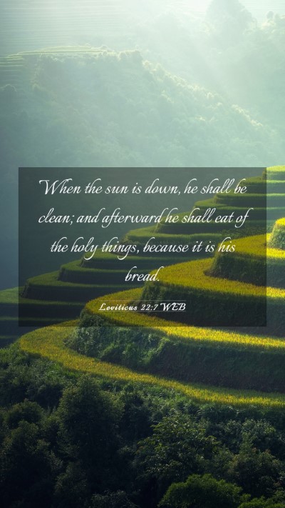 Picture 03 - Leviticus 22:7 WEB Mobile Phone Wallpaper - When the sun is down, he shall be clean; and - Mobile Bible Verse Wallpaper
