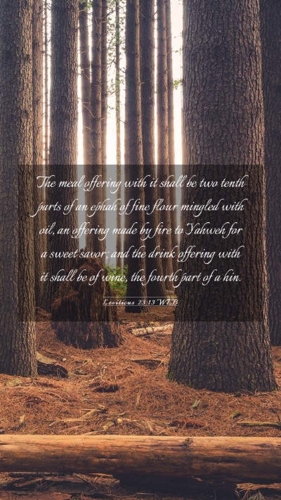 Picture 03 - Leviticus 23:13 WEB Mobile Phone Wallpaper - The meal offering with it shall be two tenth - Mobile Bible Verse Wallpaper