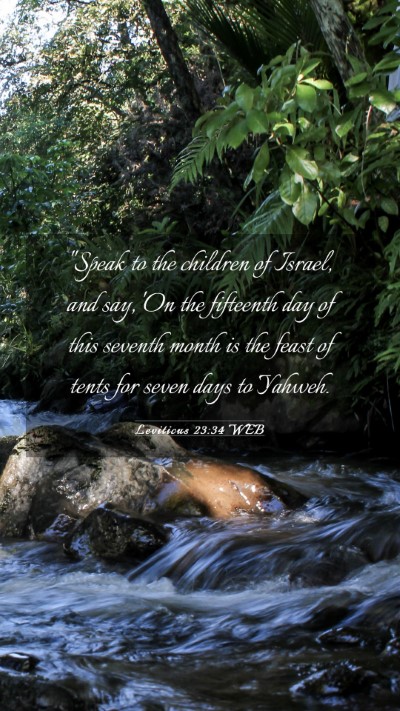 Picture 03 - Leviticus 23:34 WEB Mobile Phone Wallpaper - 