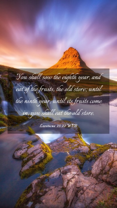 Picture 03 - Leviticus 25:22 WEB Mobile Phone Wallpaper - You shall sow the eighth year, and eat of the - Mobile Bible Verse Wallpaper