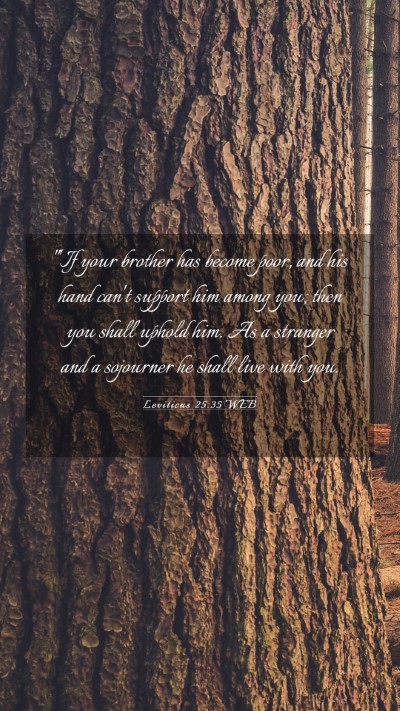 Picture 03 - Leviticus 25:35 WEB Mobile Phone Wallpaper - 
