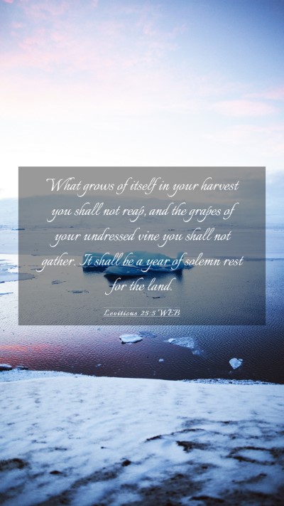 Picture 03 - Leviticus 25:5 WEB Mobile Phone Wallpaper - What grows of itself in your harvest you shall - Mobile Bible Verse Wallpaper