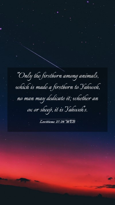 Picture 03 - Leviticus 27:26 WEB Mobile Phone Wallpaper - 