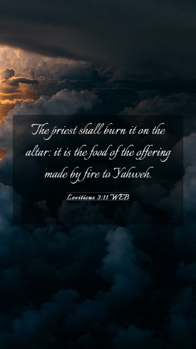 Picture 03 - Leviticus 3:11 WEB Mobile Phone Wallpaper - The priest shall burn it on the altar: it is the - Mobile Bible Verse Wallpaper