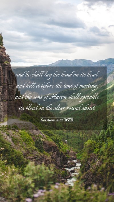 Picture 03 - Leviticus 3:13 WEB Mobile Phone Wallpaper - and he shall lay his hand on its head, and kill - Mobile Bible Verse Wallpaper