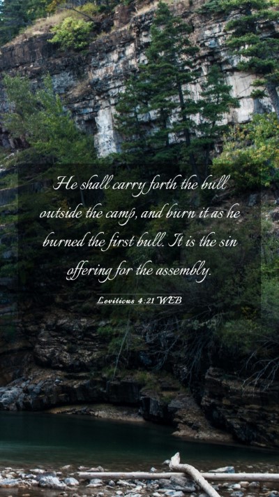 Picture 03 - Leviticus 4:21 WEB Mobile Phone Wallpaper - He shall carry forth the bull outside the camp, - Mobile Bible Verse Wallpaper