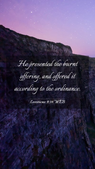 Picture 03 - Leviticus 9:16 WEB Mobile Phone Wallpaper - He presented the burnt offering, and offered it - Mobile Bible Verse Wallpaper