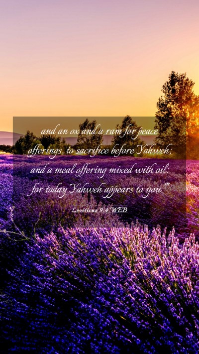 Picture 03 - Leviticus 9:4 WEB Mobile Phone Wallpaper - and an ox and a ram for peace offerings, to - Mobile Bible Verse Wallpaper