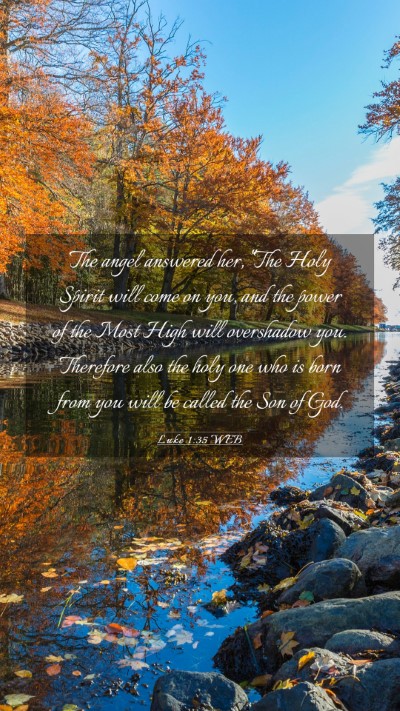 Picture 03 - Luke 1:35 WEB Mobile Phone Wallpaper - The angel answered her, 