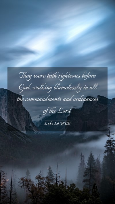 Picture 03 - Luke 1:6 WEB Mobile Phone Wallpaper - They were both righteous before God, walking - Mobile Bible Verse Wallpaper