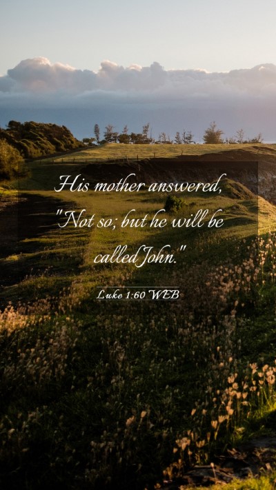 Picture 03 - Luke 1:60 WEB Mobile Phone Wallpaper - His mother answered, 