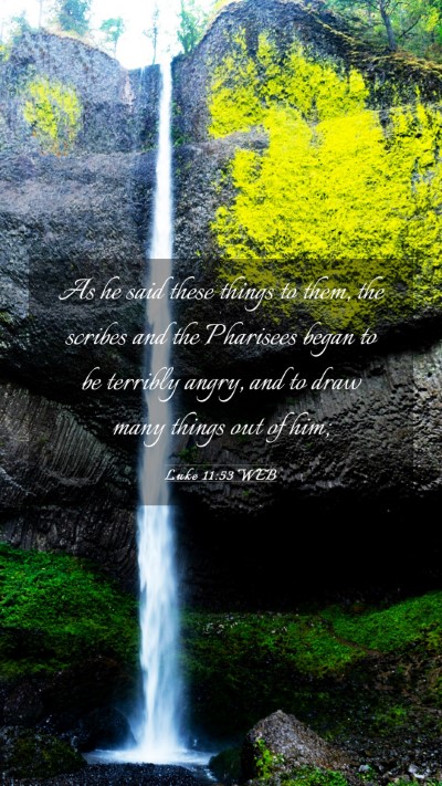 Picture 03 - Luke 11:53 WEB Mobile Phone Wallpaper - As he said these things to them, the scribes and - Mobile Bible Verse Wallpaper