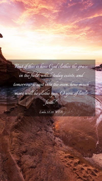 Picture 03 - Luke 12:28 WEB Mobile Phone Wallpaper - But if this is how God clothes the grass in the - Mobile Bible Verse Wallpaper