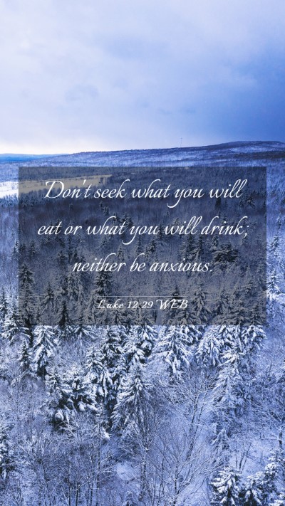 Picture 03 - Luke 12:29 WEB Mobile Phone Wallpaper - Don't seek what you will eat or what you will - Mobile Bible Verse Wallpaper