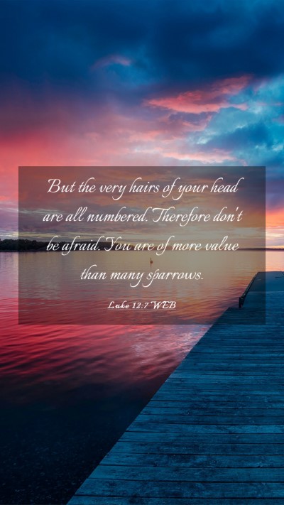 Picture 03 - Luke 12:7 WEB Mobile Phone Wallpaper - But the very hairs of your head are all numbered. - Mobile Bible Verse Wallpaper