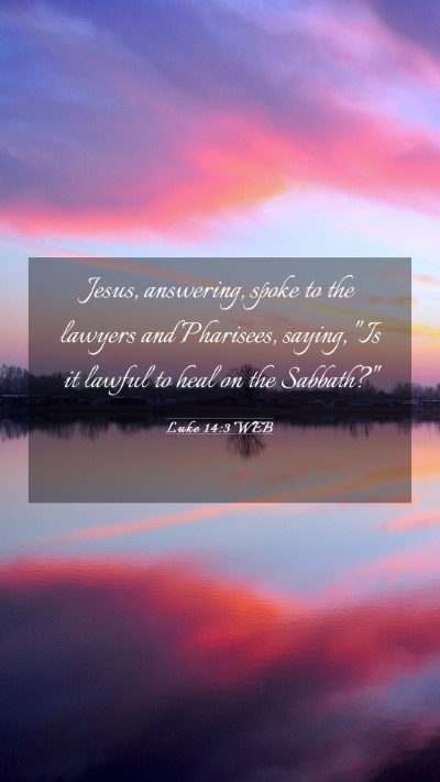 Picture 03 - Luke 14:3 WEB Mobile Phone Wallpaper - Jesus, answering, spoke to the lawyers and - Mobile Bible Verse Wallpaper