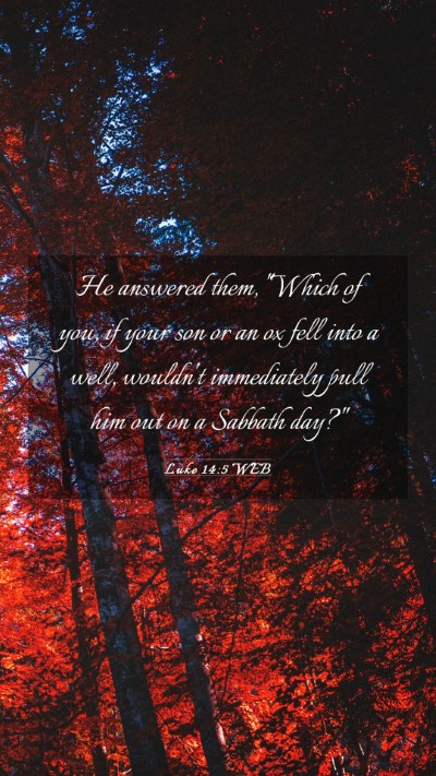 Picture 03 - Luke 14:5 WEB Mobile Phone Wallpaper - He answered them, 