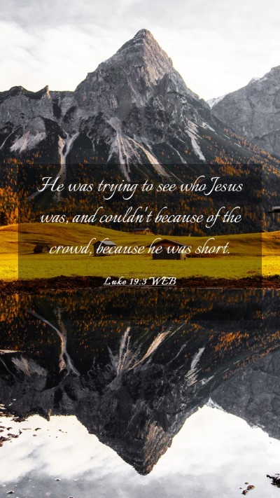 Picture 03 - Luke 19:3 WEB Mobile Phone Wallpaper - He was trying to see who Jesus was, and couldn't - Mobile Bible Verse Wallpaper