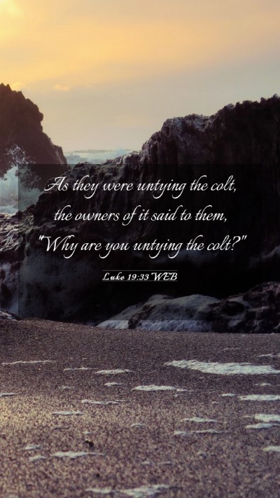 Picture 03 - Luke 19:33 WEB Mobile Phone Wallpaper - As they were untying the colt, the owners of it - Mobile Bible Verse Wallpaper
