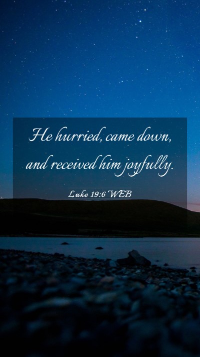 Picture 03 - Luke 19:6 WEB Mobile Phone Wallpaper - He hurried, came down, and received him - Mobile Bible Verse Wallpaper