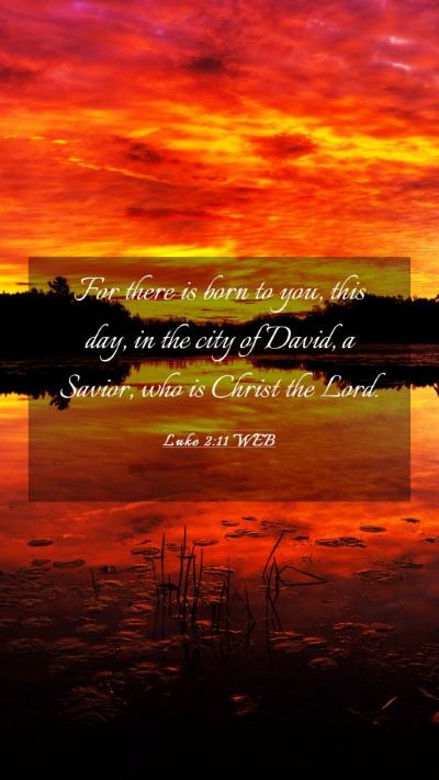 Picture 03 - Luke 2:11 WEB Mobile Phone Wallpaper - For there is born to you, this day, in the city - Mobile Bible Verse Wallpaper