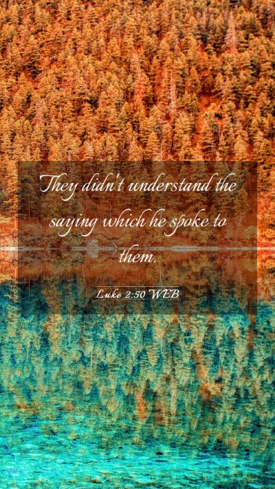 Picture 03 - Luke 2:50 WEB Mobile Phone Wallpaper - They didn't understand the saying which he spoke - Mobile Bible Verse Wallpaper