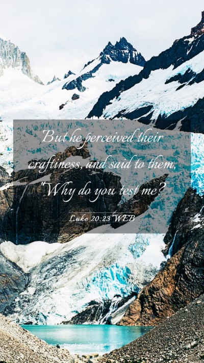 Picture 03 - Luke 20:23 WEB Mobile Phone Wallpaper - But he perceived their craftiness, and said to - Mobile Bible Verse Wallpaper