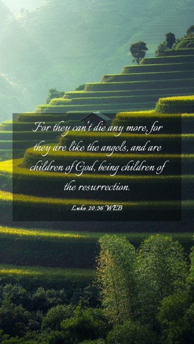 Picture 03 - Luke 20:36 WEB Mobile Phone Wallpaper - For they can't die any more, for they are like - Mobile Bible Verse Wallpaper
