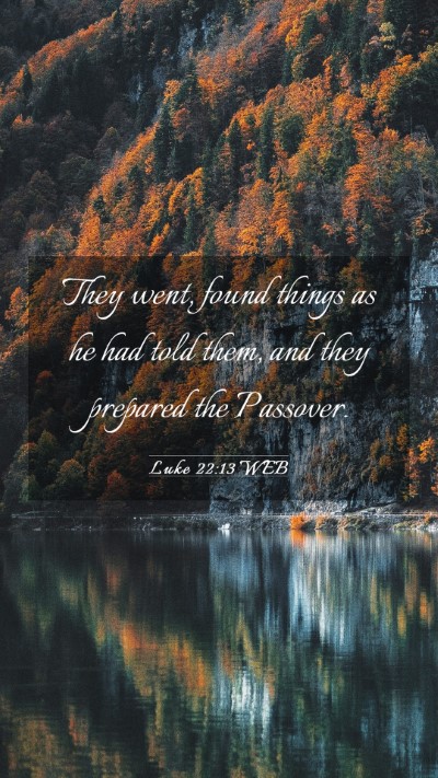Picture 03 - Luke 22:13 WEB Mobile Phone Wallpaper - They went, found things as he had told them, and - Mobile Bible Verse Wallpaper