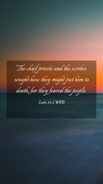Picture 03 - Luke 22:2 WEB Mobile Phone Wallpaper - The chief priests and the scribes sought how they - Mobile Bible Verse Wallpaper