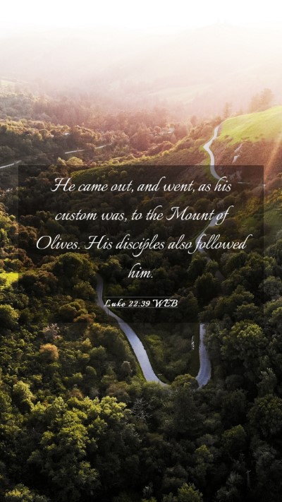 Picture 03 - Luke 22:39 WEB Mobile Phone Wallpaper - He came out, and went, as his custom was, to the - Mobile Bible Verse Wallpaper