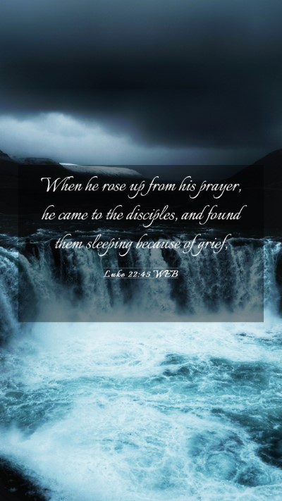Picture 03 - Luke 22:45 WEB Mobile Phone Wallpaper - When he rose up from his prayer, he came to the - Mobile Bible Verse Wallpaper