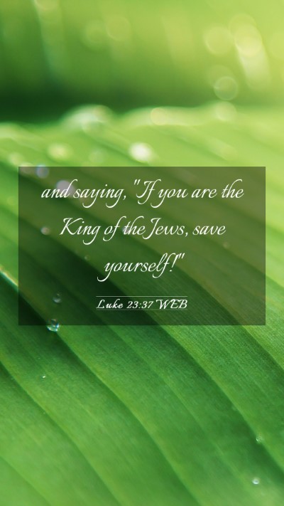 Picture 03 - Luke 23:37 WEB Mobile Phone Wallpaper - and saying, 