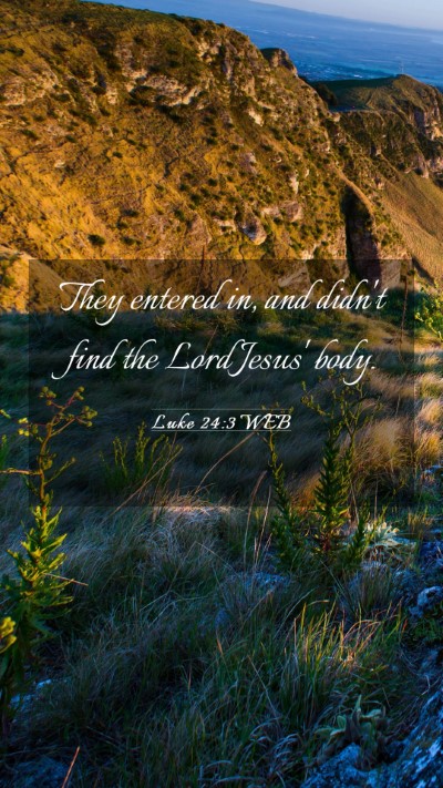 Picture 03 - Luke 24:3 WEB Mobile Phone Wallpaper - They entered in, and didn't find the Lord Jesus' - Mobile Bible Verse Wallpaper