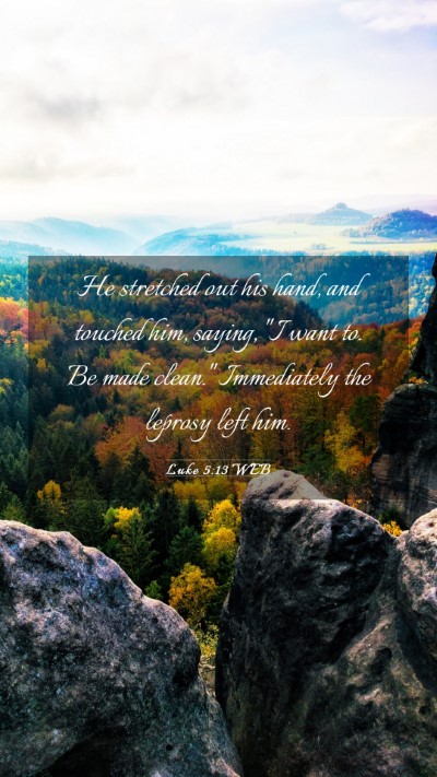Picture 03 - Luke 5:13 WEB Mobile Phone Wallpaper - He stretched out his hand, and touched him, - Mobile Bible Verse Wallpaper