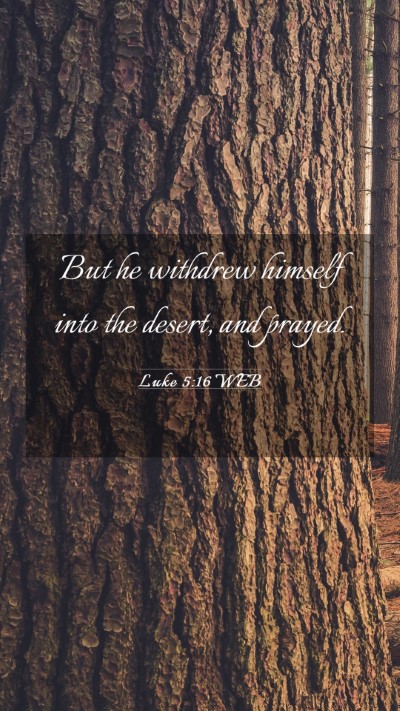 Picture 03 - Luke 5:16 WEB Mobile Phone Wallpaper - But he withdrew himself into the desert, and - Mobile Bible Verse Wallpaper