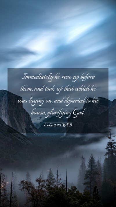 Picture 03 - Luke 5:25 WEB Mobile Phone Wallpaper - Immediately he rose up before them, and took up - Mobile Bible Verse Wallpaper