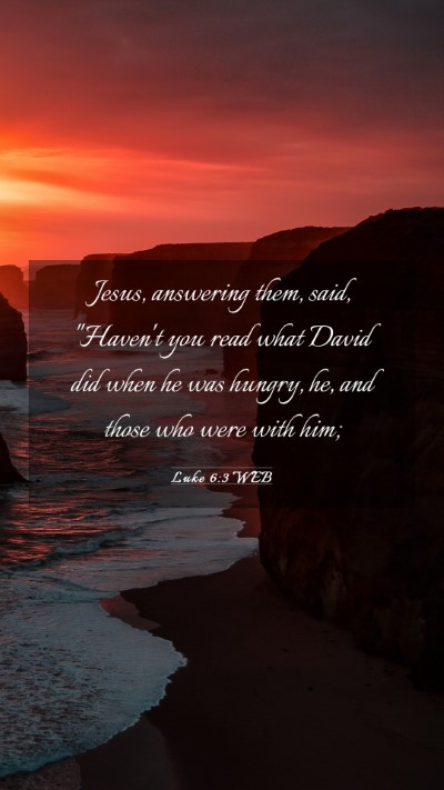 Picture 03 - Luke 6:3 WEB Mobile Phone Wallpaper - Jesus, answering them, said, 