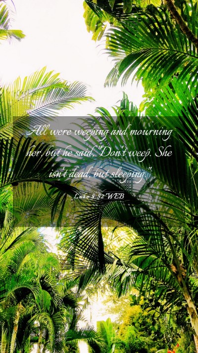 Picture 03 - Luke 8:52 WEB Mobile Phone Wallpaper - All were weeping and mourning her, but he said, - Mobile Bible Verse Wallpaper