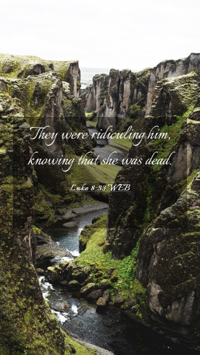 Picture 03 - Luke 8:53 WEB Mobile Phone Wallpaper - They were ridiculing him, knowing that she was - Mobile Bible Verse Wallpaper