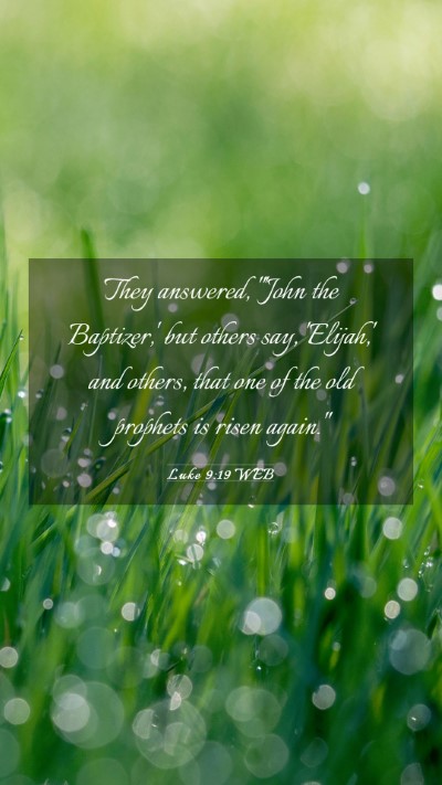 Picture 03 - Luke 9:19 WEB Mobile Phone Wallpaper - They answered, 