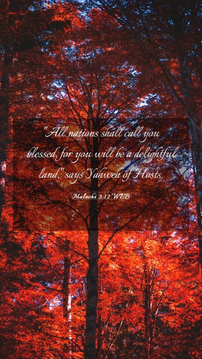 Picture 03 - Malachi 3:12 WEB Mobile Phone Wallpaper - 