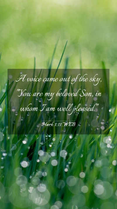 Picture 03 - Mark 1:11 WEB Mobile Phone Wallpaper - A voice came out of the sky, 