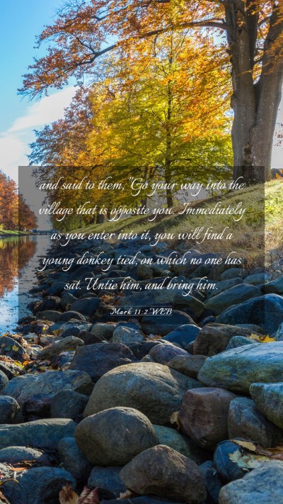 Picture 03 - Mark 11:2 WEB Mobile Phone Wallpaper - and said to them, 